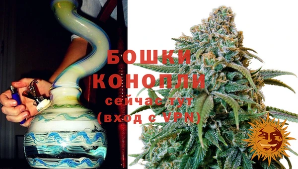 круглые Белокуриха