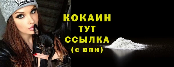 молекула духа Белоозёрский