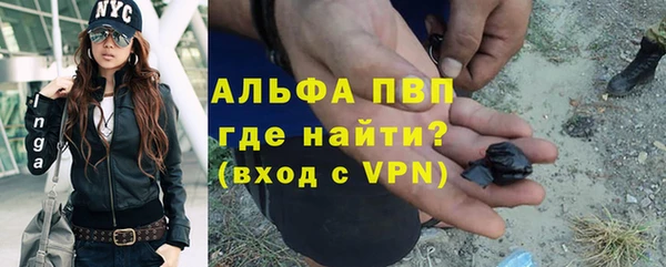 круглые Белокуриха