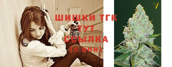 тгк Беломорск