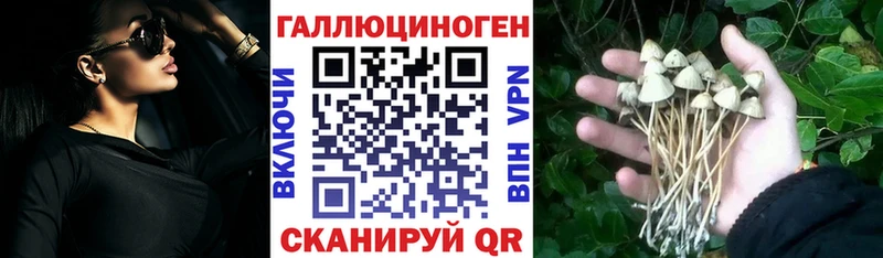 Псилоцибиновые грибы ЛСД  даркнет сайт  Олёкминск 